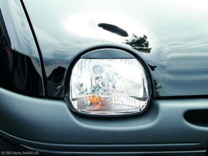 Mračítka Renault Twingo
